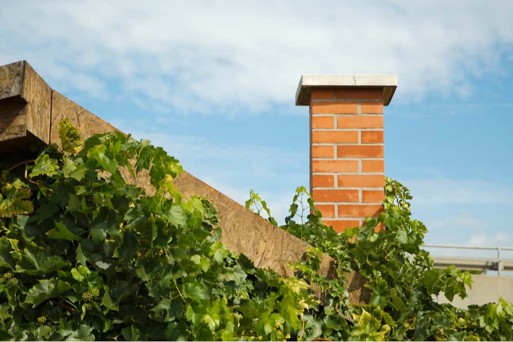 chimney care