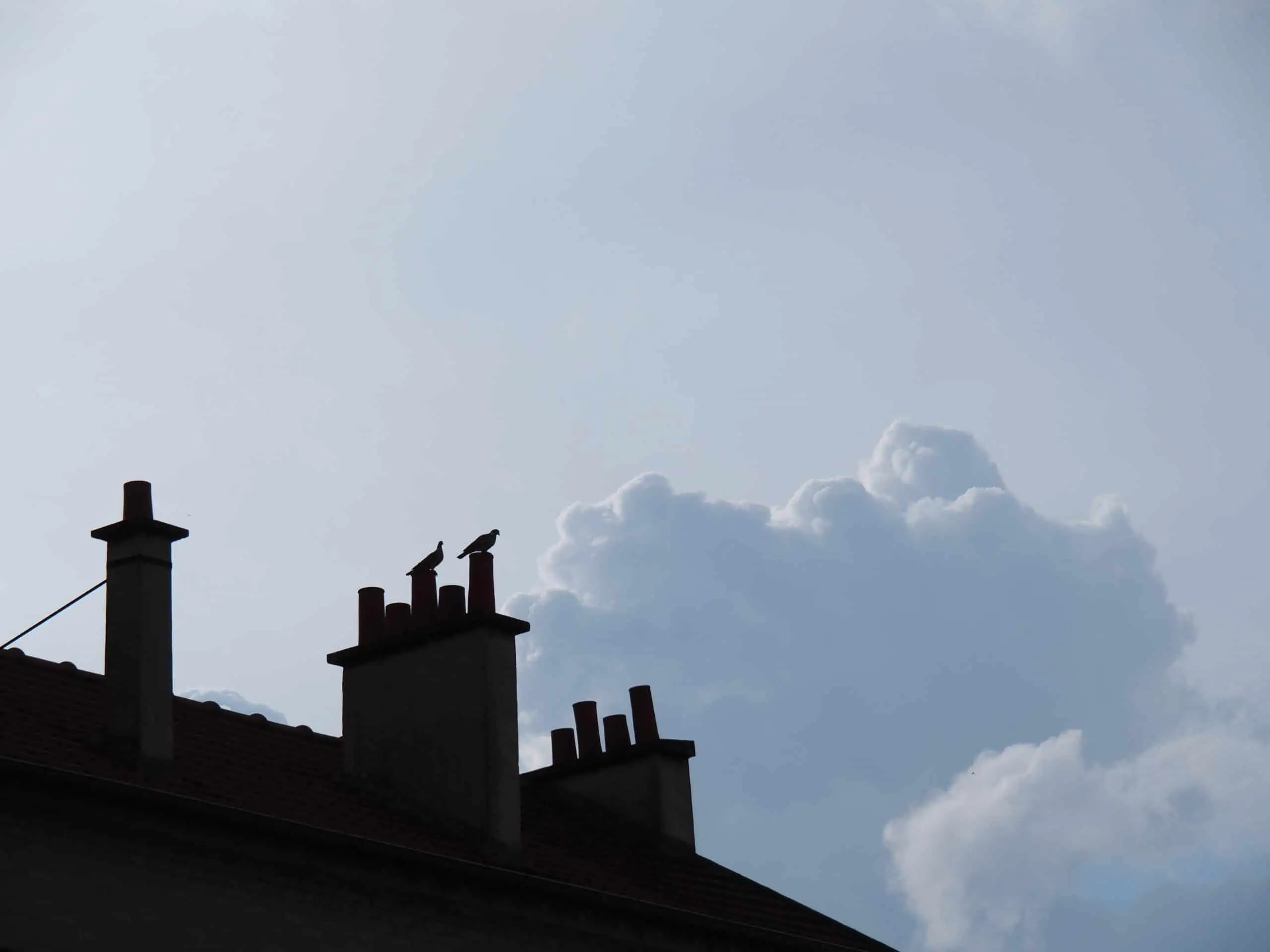 Chimney on a roof