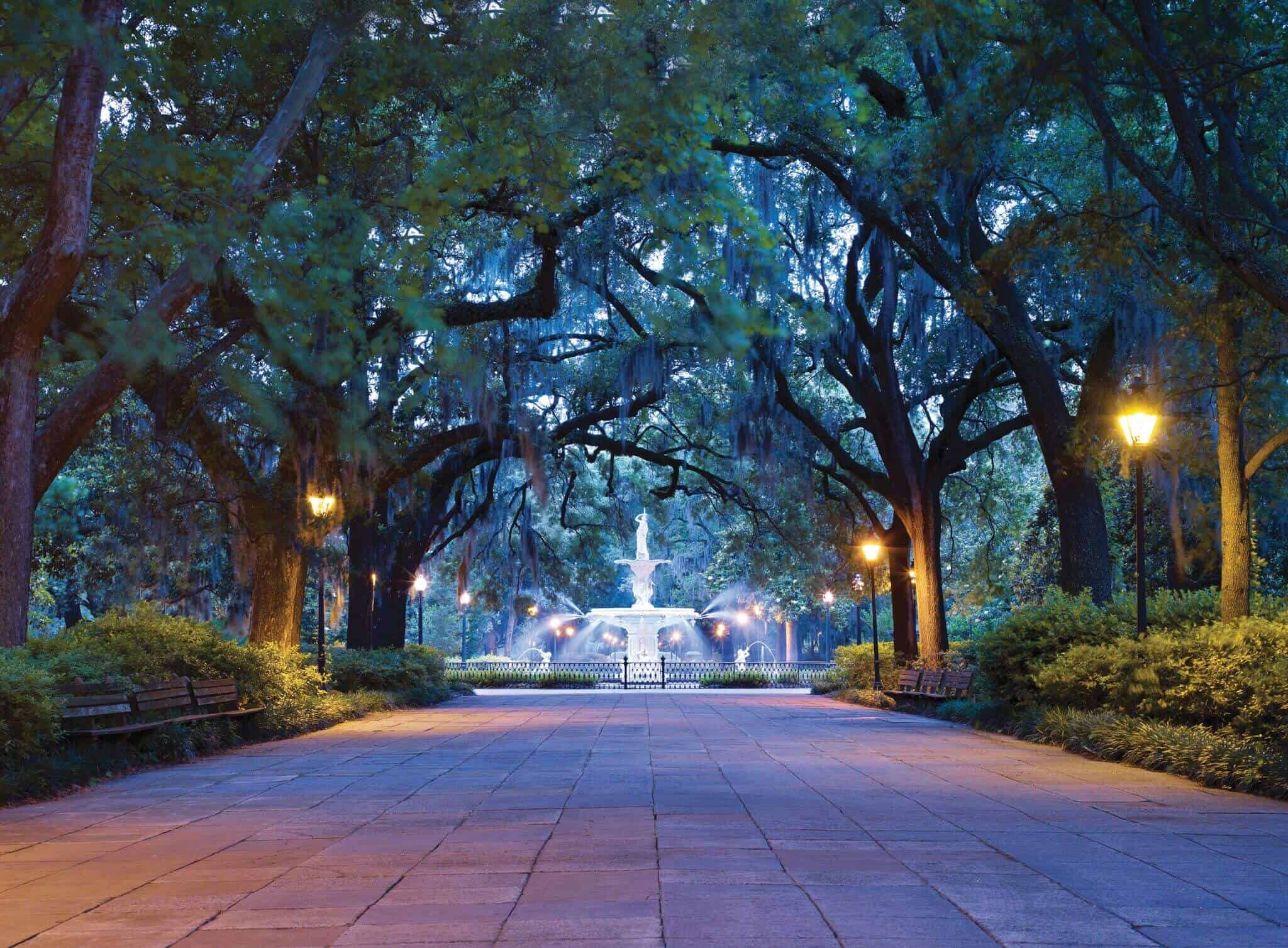 Chimney sweep Savannah